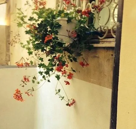 Διαμέρισμα San Vitale 27 Βερόνα